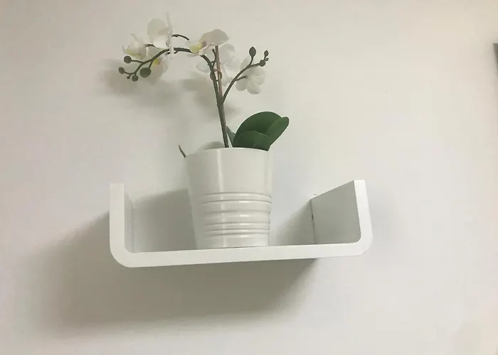Baynunah 慕尼黑